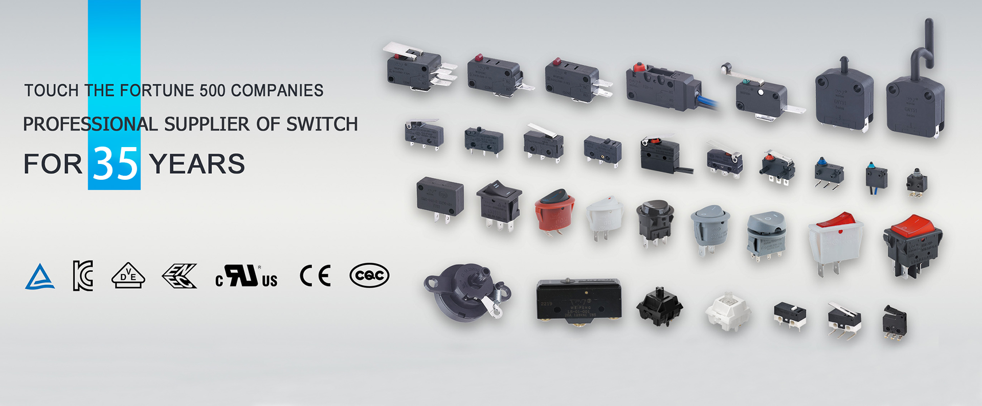 Micro Switch အမျိုးအစားများ အမျိုးအစားခွဲခြားခြင်းနှင့် အသုံးပြုမှုများ