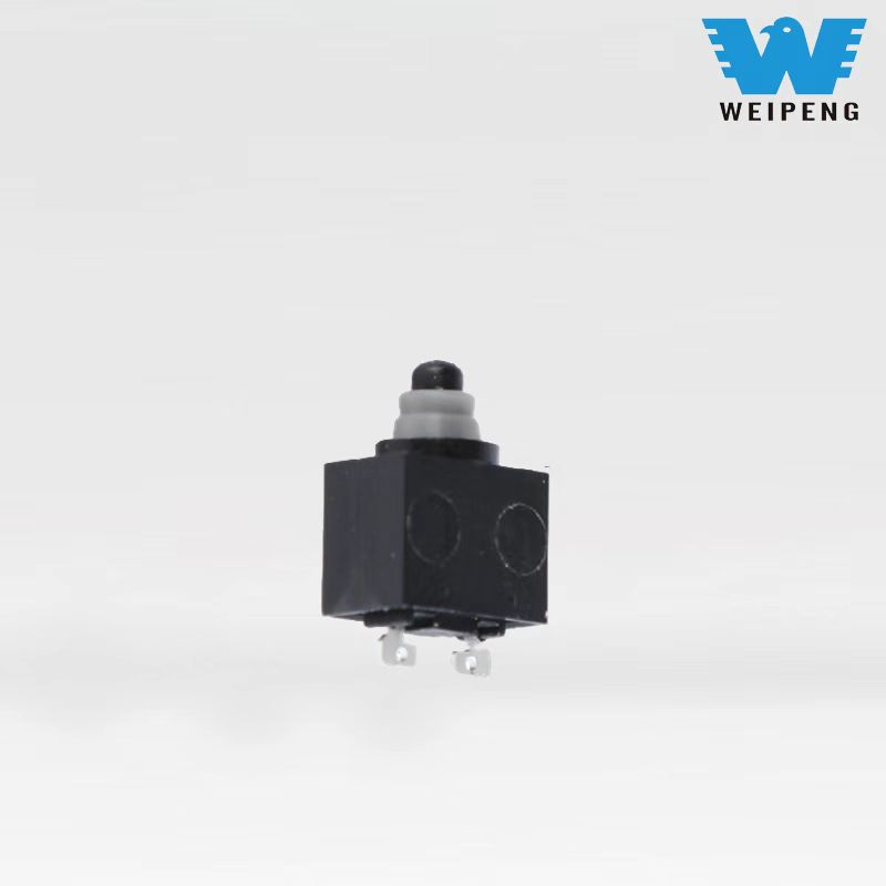 ရေစိုခံ Micro Switch နှစ်ချောင်း