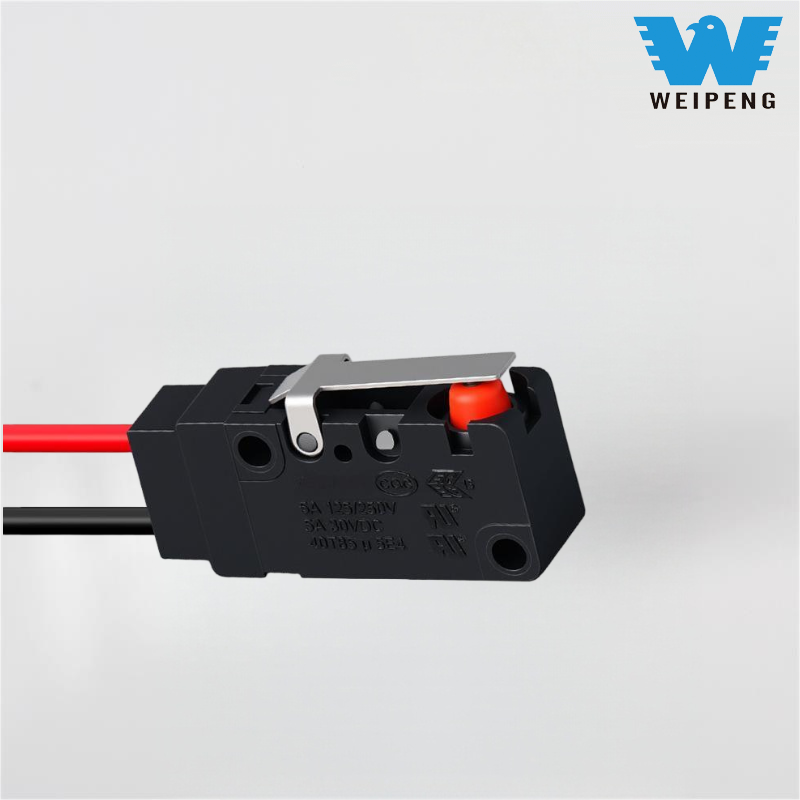 ရေစိုခံပုံမှန်အားဖြင့် 2-wire ကြီးမားသော micro switch ကိုပိတ်ထားသည်