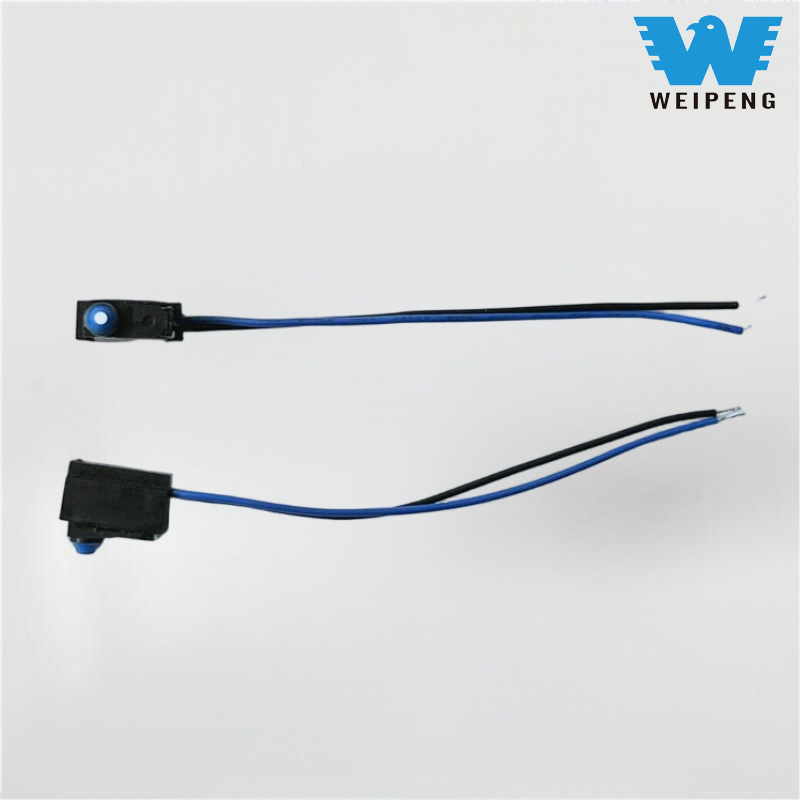 ရေစိုခံ Pin-type push-button ကို micro switch