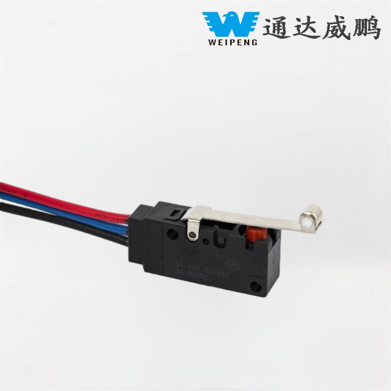 Weipeng High-Right-Home HomeTalting Dishwasher Waterproof Micro Switch